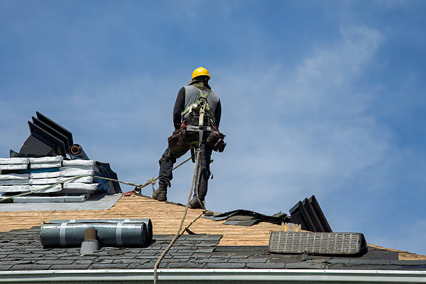 Professional Roofing technician working in Mc Intyre, GA